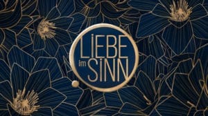 Liebe im Sinn